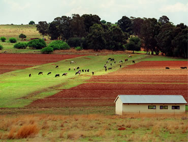 Land Claims